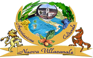 Logo ACNV